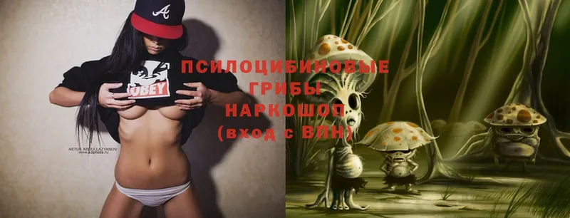 Псилоцибиновые грибы Magic Shrooms  цена   Елец 